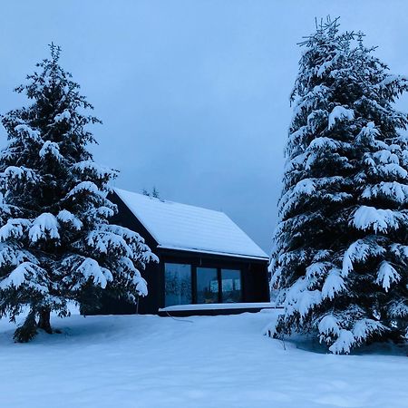 Laba Villa Lasowka Kültér fotó